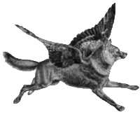 Story - Cody and Terri at the Pediatric Unit 