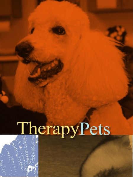 Read the story of Cody and Terri at the Pediatric Unit